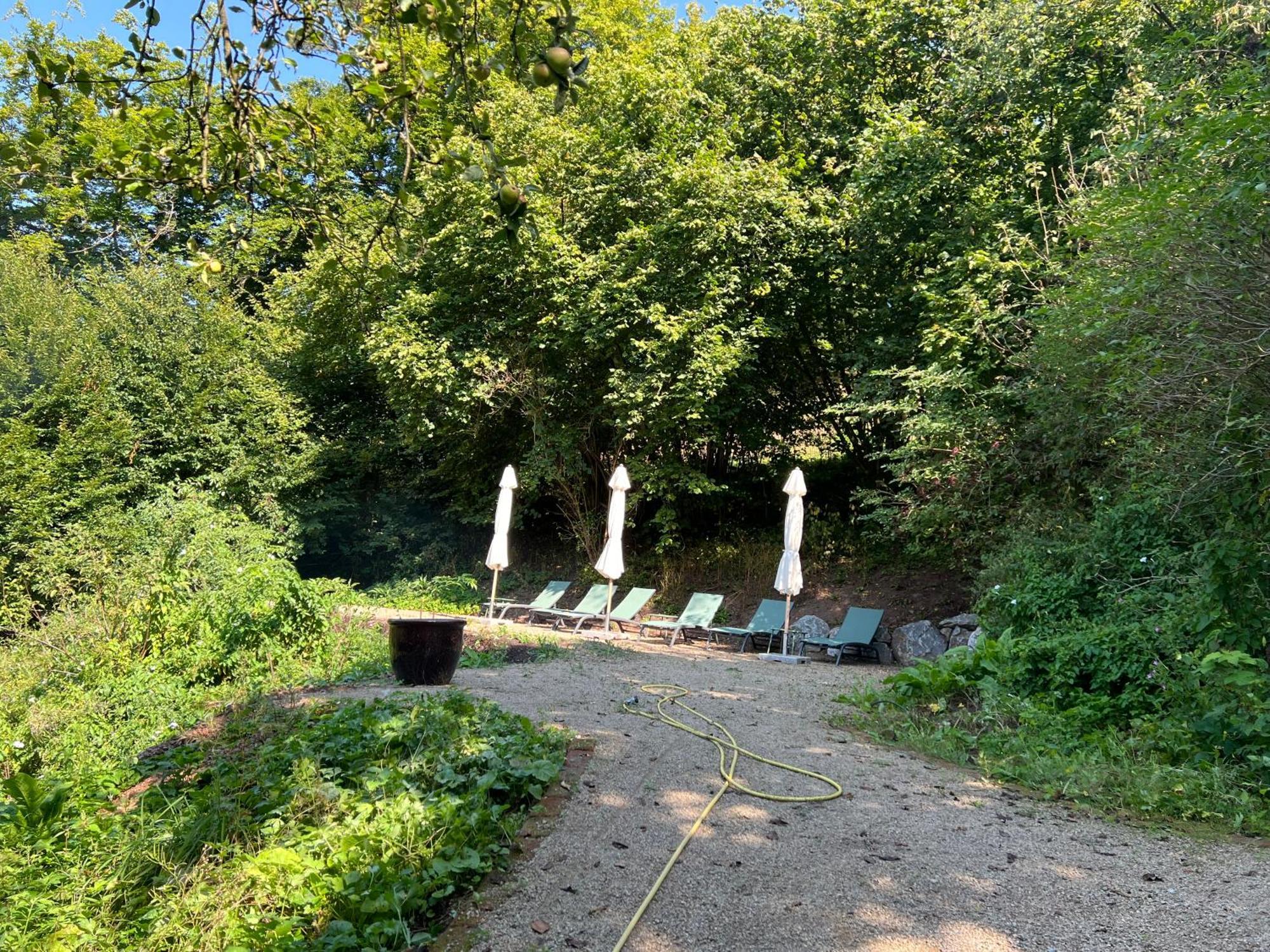 Waldseele Appartement Battenberg  Exteriör bild